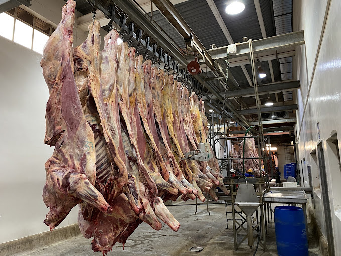 Forequarter